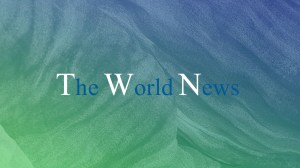 section_bg_world_larged